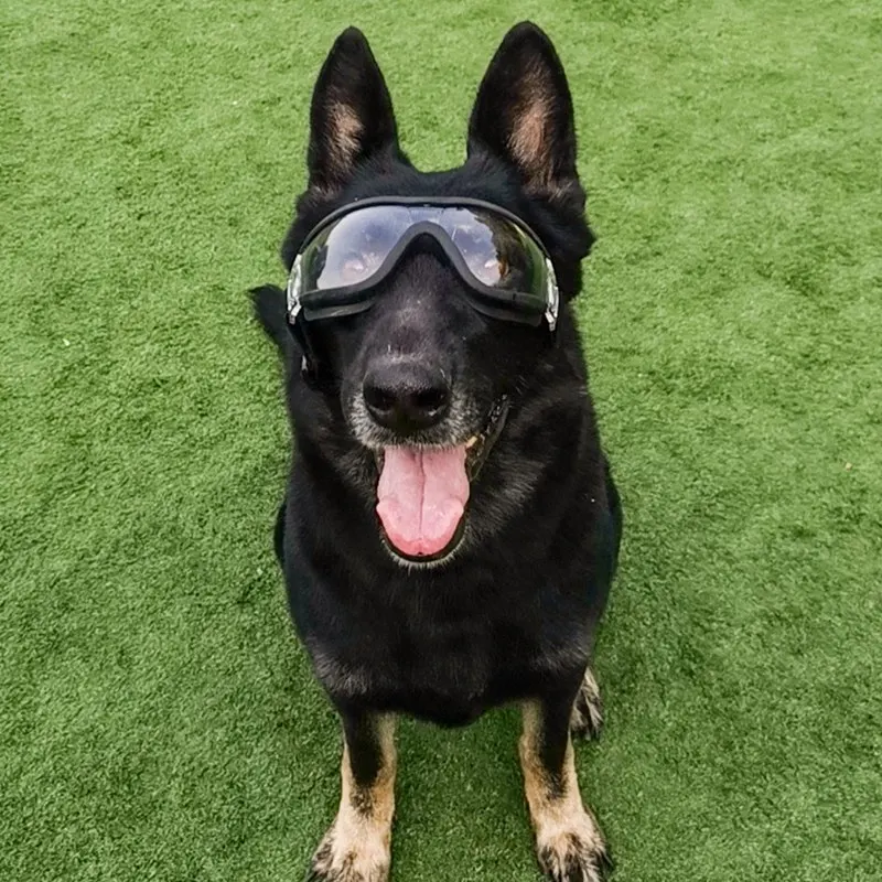 

Pet Dog Anti-UV Waterproof Glasses Pet Sunglasses Pet Dog Protection Eyewear Goggles for Hunting Training Camping