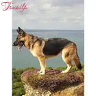 Алмазная живопись TOUOILP сделай сам с полным немецким овчаром, шаблоны для вышивки бисером стразы, вышивка, мозаика, индуический Бог, Декор для дома