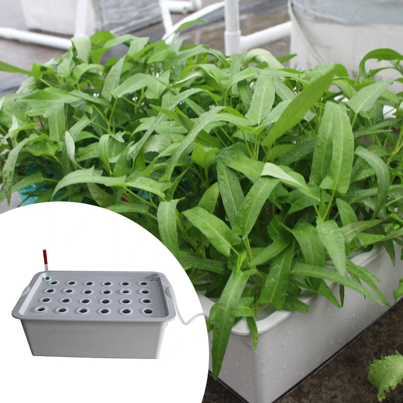 

24 Holes Plant Site Hydroponic Garden Pots Planters System Indoor Outdoor Garden Cabinet Box Grow Kit Nursery Pots