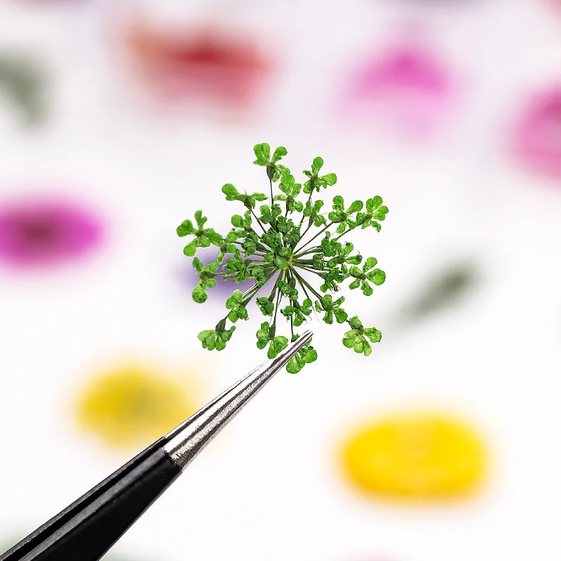 CYSHMILY 6 коробок/набор микс сушеные цветы украшения для ногтей натуральный