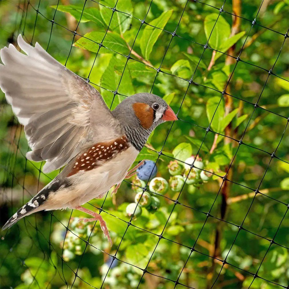 

Multifunctional Garden Supplies Anti-bird Net Anti-deer Fence Net PP Material Protective Net With Tie