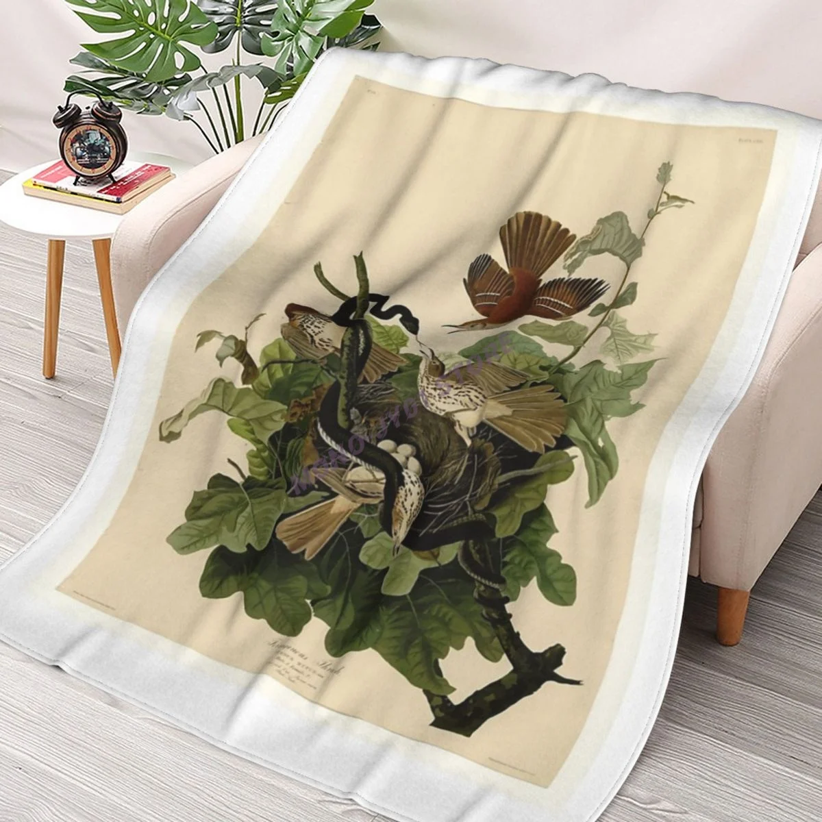 

116 Ferruginous Thrush Throw Blanket Sherpa Blanket cover Bedding soft Blankets