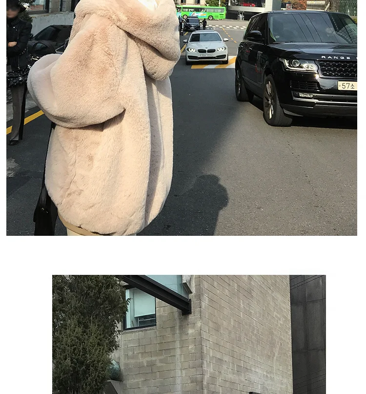 Casual Style Hooded Warm Outwear Winter Women Hoodies Teddy Bear Coat Fashion Female Tops