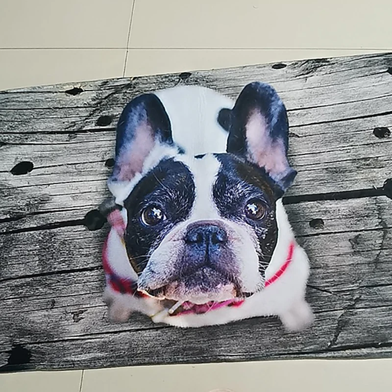 Забавные передний коврик у входной двери 3D Животные для собаки Гостиная Спальня