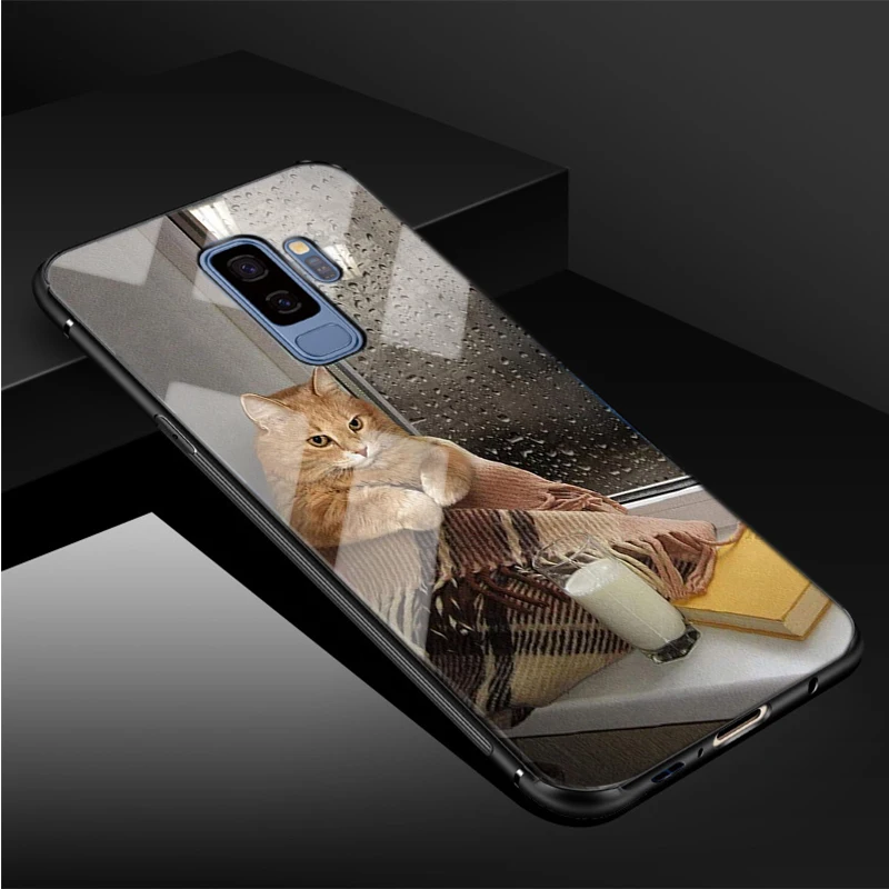 Cute Coffee Milk Cat Tempered Glass Phone Case For Samsung Galaxy S8 S9 S10 S20 PLUS J6 J8 2018 NOTE 8 9 10 Cover Shell | Мобильные