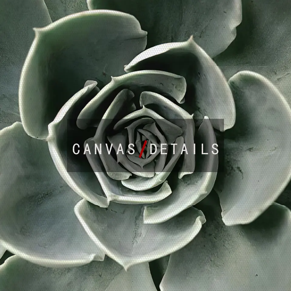 Фотообои с изображением листьев животных цветов холста настенные картины для