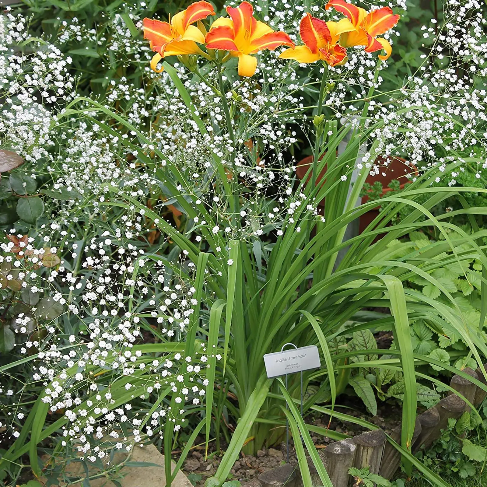 

Metal Garden Label Garden T-Type Plant Markers Label Pot Planter Vegetable Labels Waterproof Plastic Markers Tag For Durable