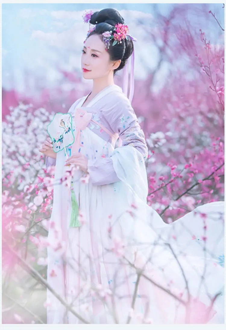 

Fairy Cosplay Hanfu Ancient Costume Dress Women Folk Dance Clothing Chinese Traditional Fairy Princess Dresses Stage Performance