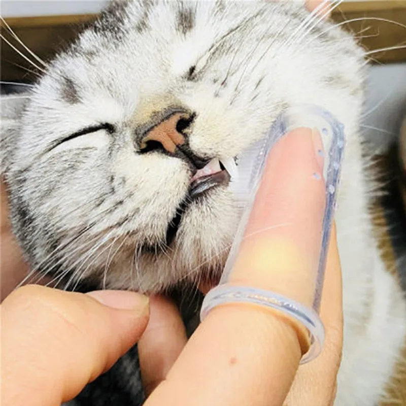 Собака здоровое пищевое зубная паста маленькие собаки кошки и чистка зубов