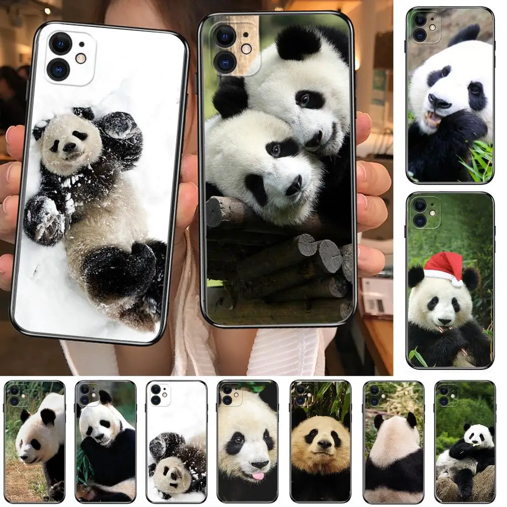 

Super Cute Panda Phone Cases For iphone 13 Pro Max case 12 11 Pro Max 8 PLUS 7PLUS 6S XR X XS 6 mini se mobile cell