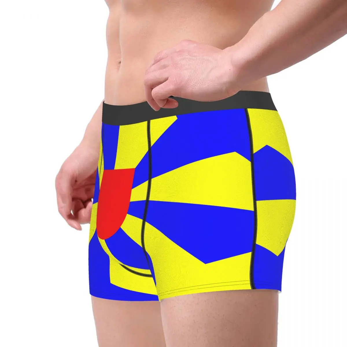 Flag Of West Flanders Men's Boxer Briefs Belgian Nerd Men's boxer leggings