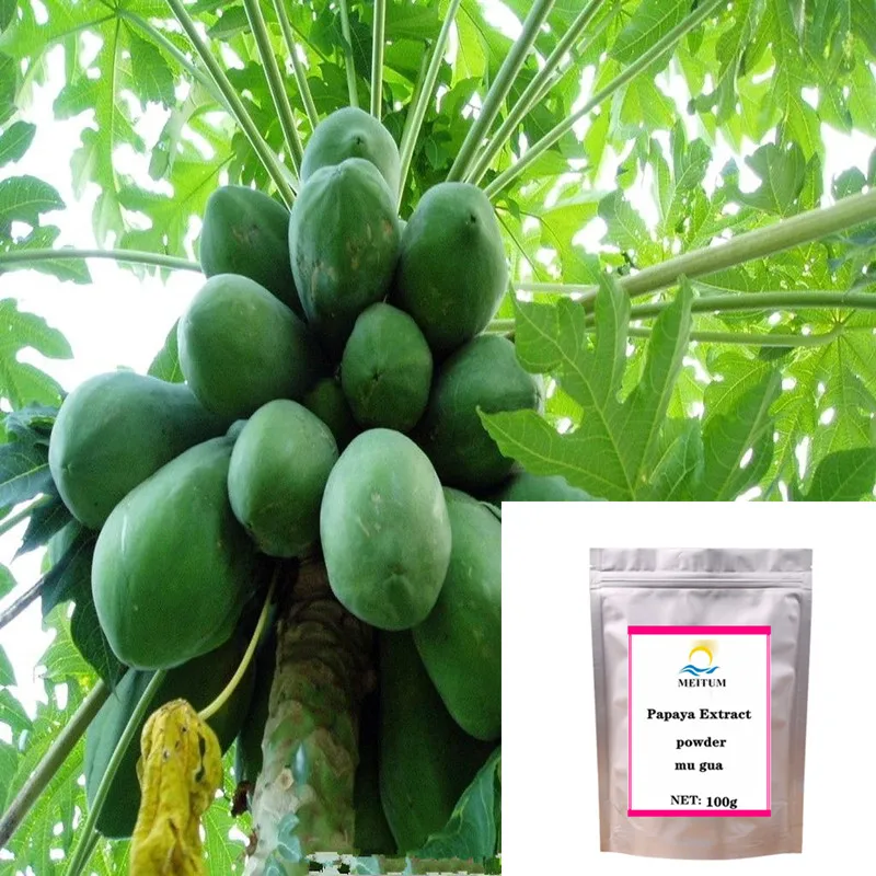 

Hot sale natural organic papaya extract powder papain powder, skin whitening, mu gua, free shipping