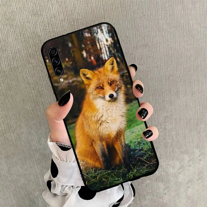 

Fox cute animal Phone Case For Samsung Galaxy J2 J4 J5 J6 J7 J8 2016 2017 2018 Prime Pro plus Neo duo