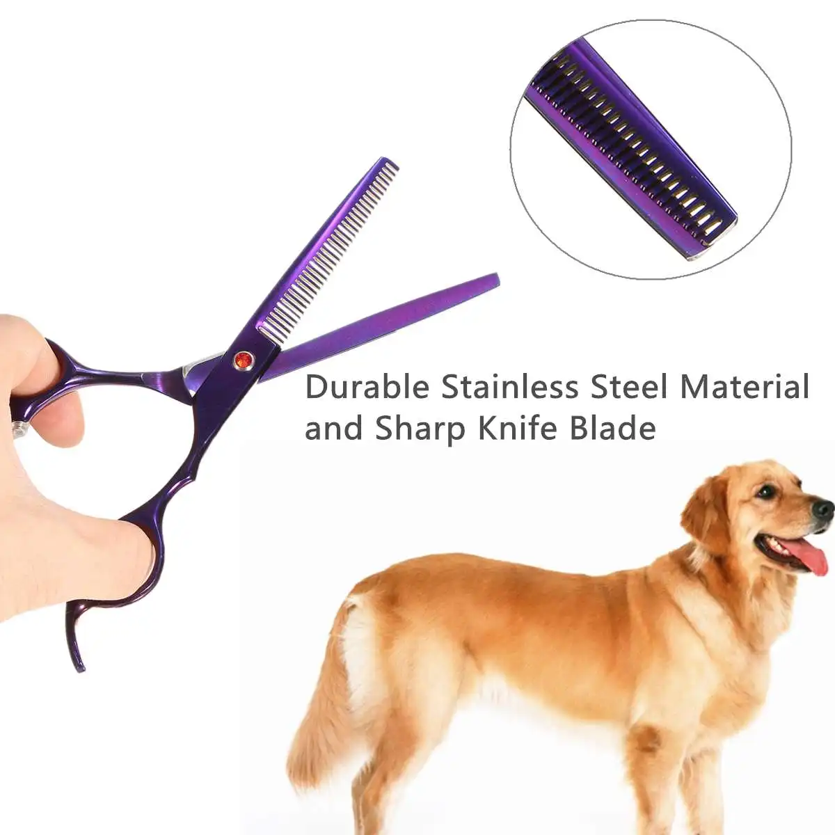 

Professional pet scissors for dog grooming High Quality Straight Thinning Curved Scissors 4pcs/set