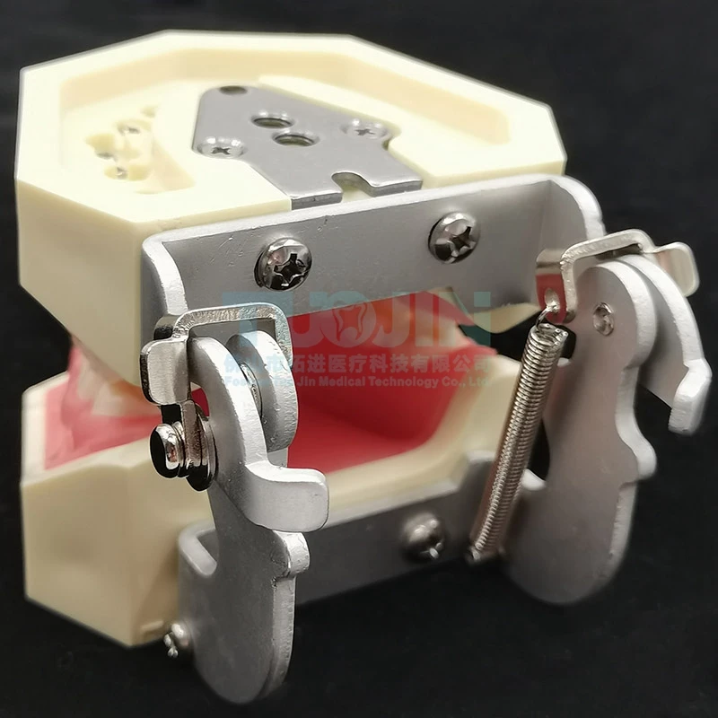 Стоматологическая мягкая резинка учебная модель имитационная обучающая зуба