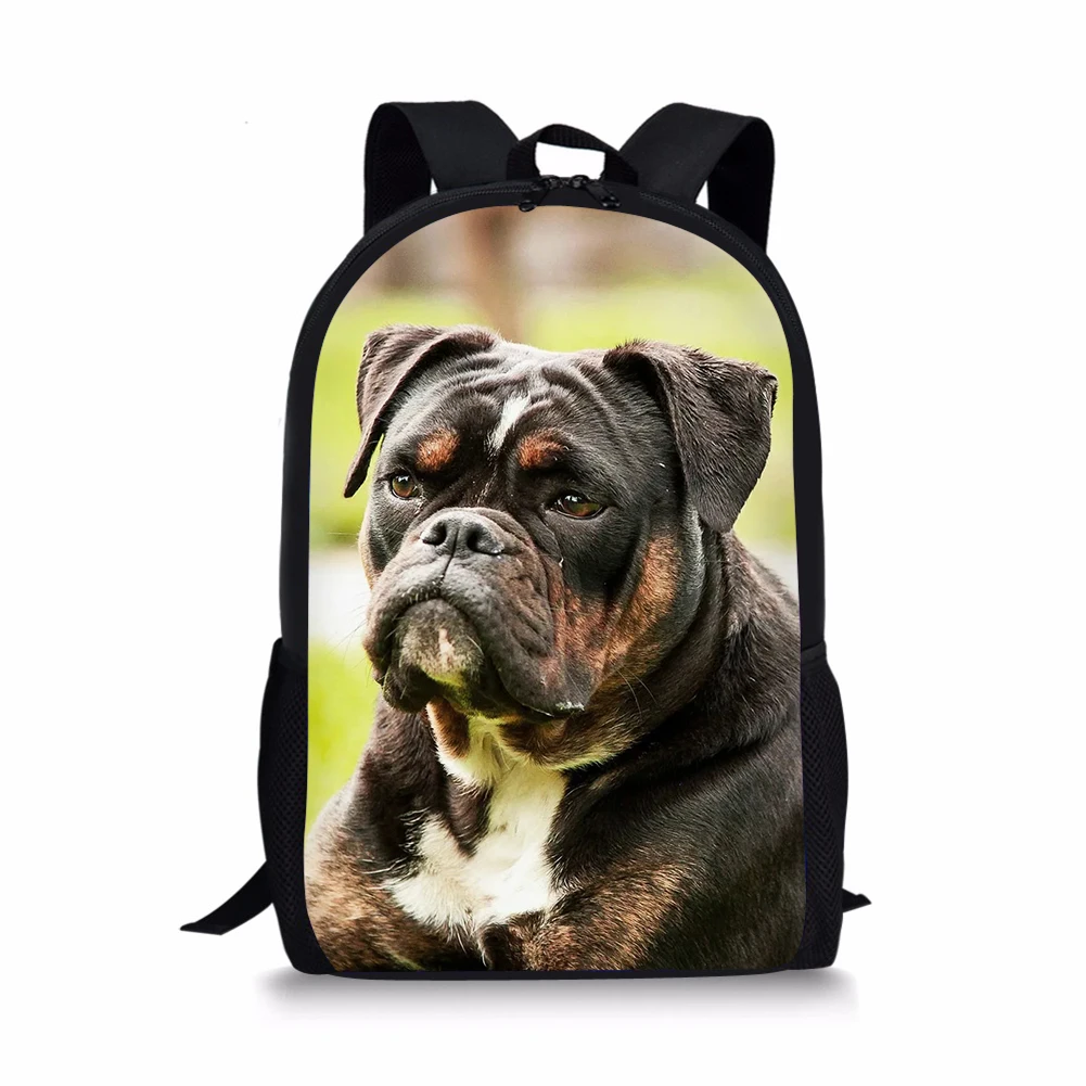 HaoYun Kids School Bags Kawaii Animal Teenager Travel Backpack Little Bulldogs Prints Pattern Toddler Boys School Backpack