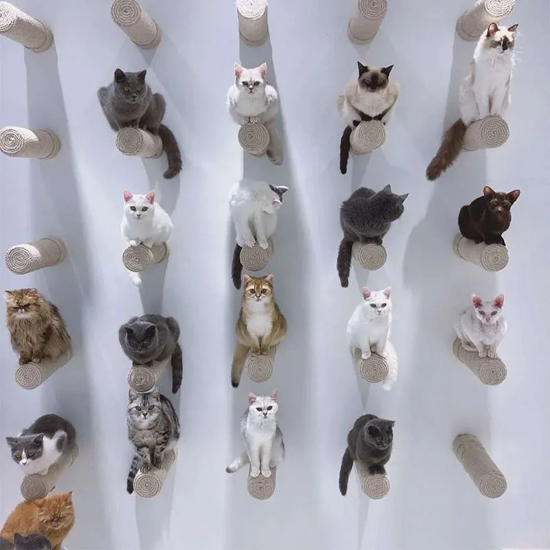 

Когтеточка для кошек, из сизаля, с креплением на стену