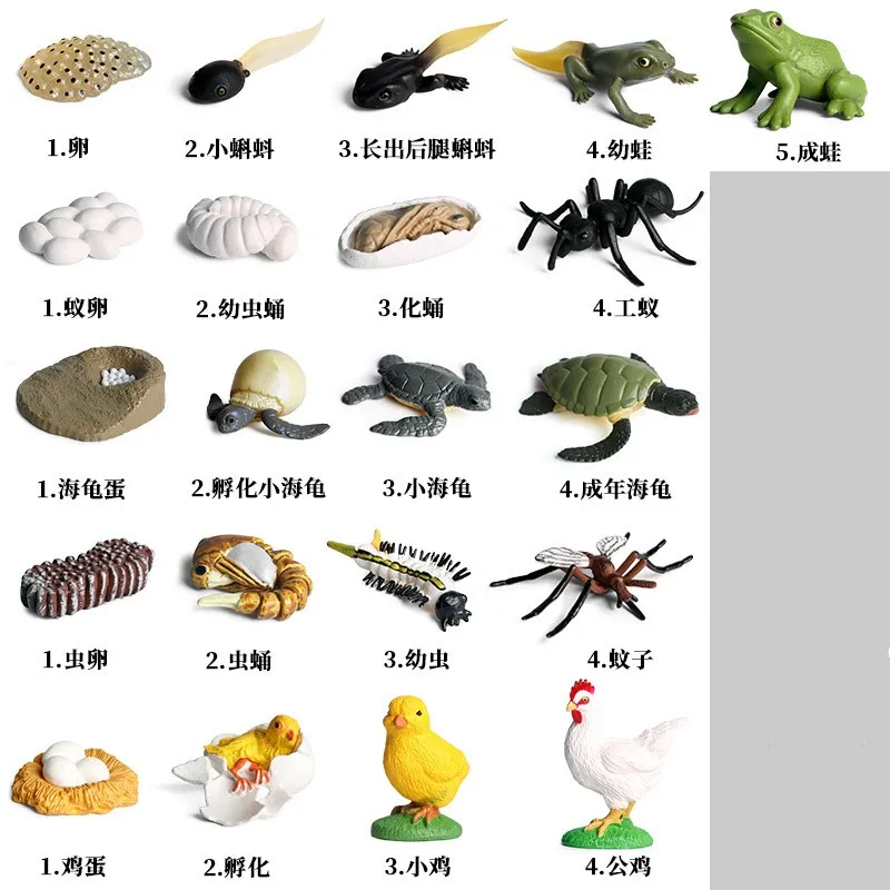 1 комплект дикие животные курица муравей море для черепах и лягушек комаров