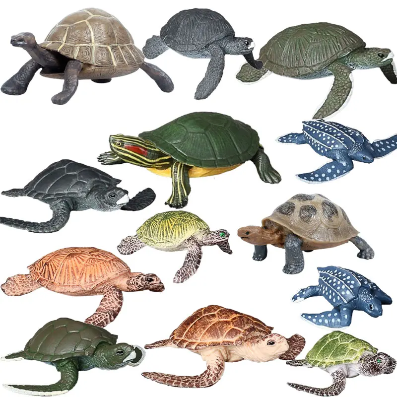 

Marine Life Model Brazilian Tortoise Turtle Tortoise Sea Animal Simulation Doll Figurine Action Figure Toys for Children
