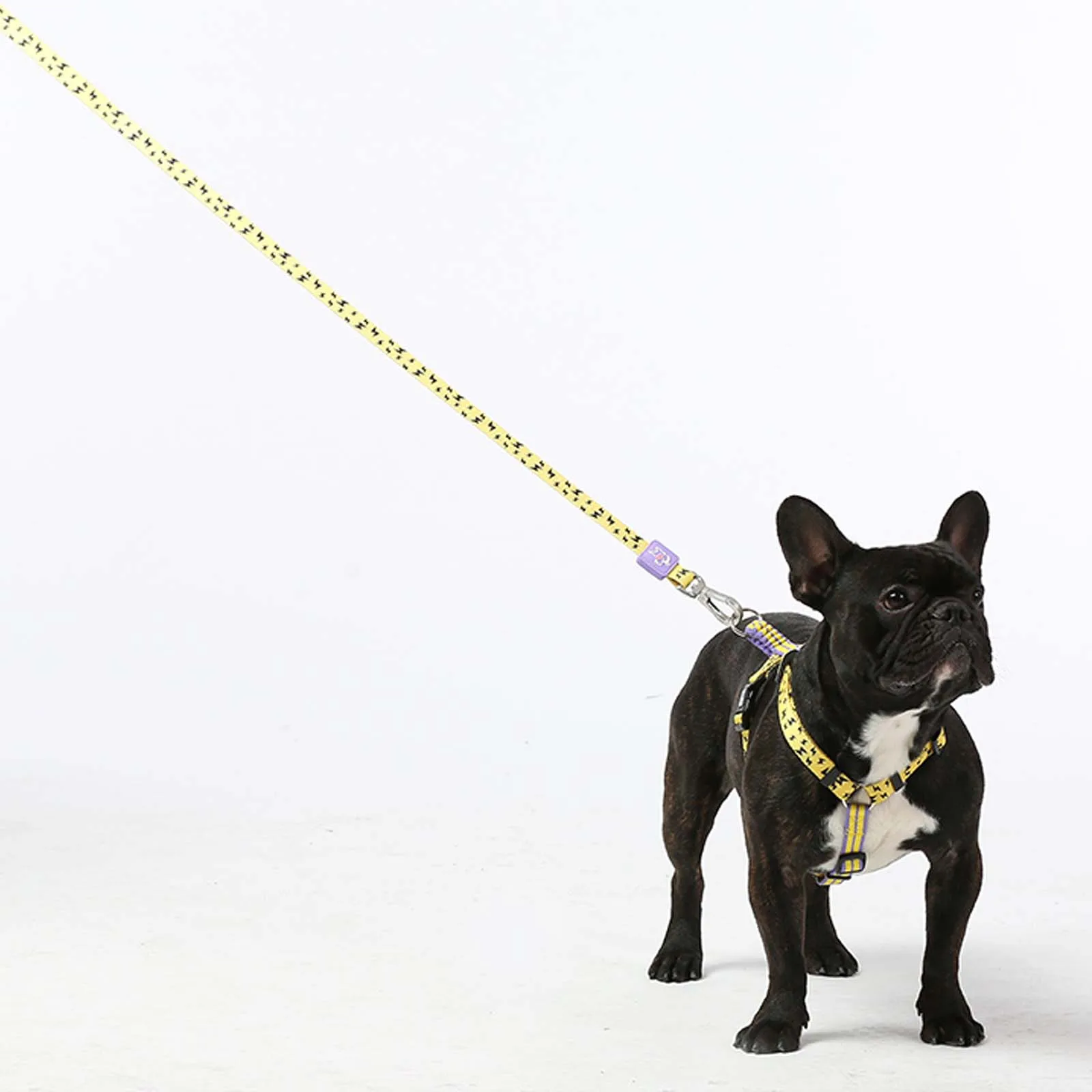 

Dog Leashes for Small Medium Sizes, Brilliant Yellow Color and Flash Styles, High Quality Durable Metal Hook