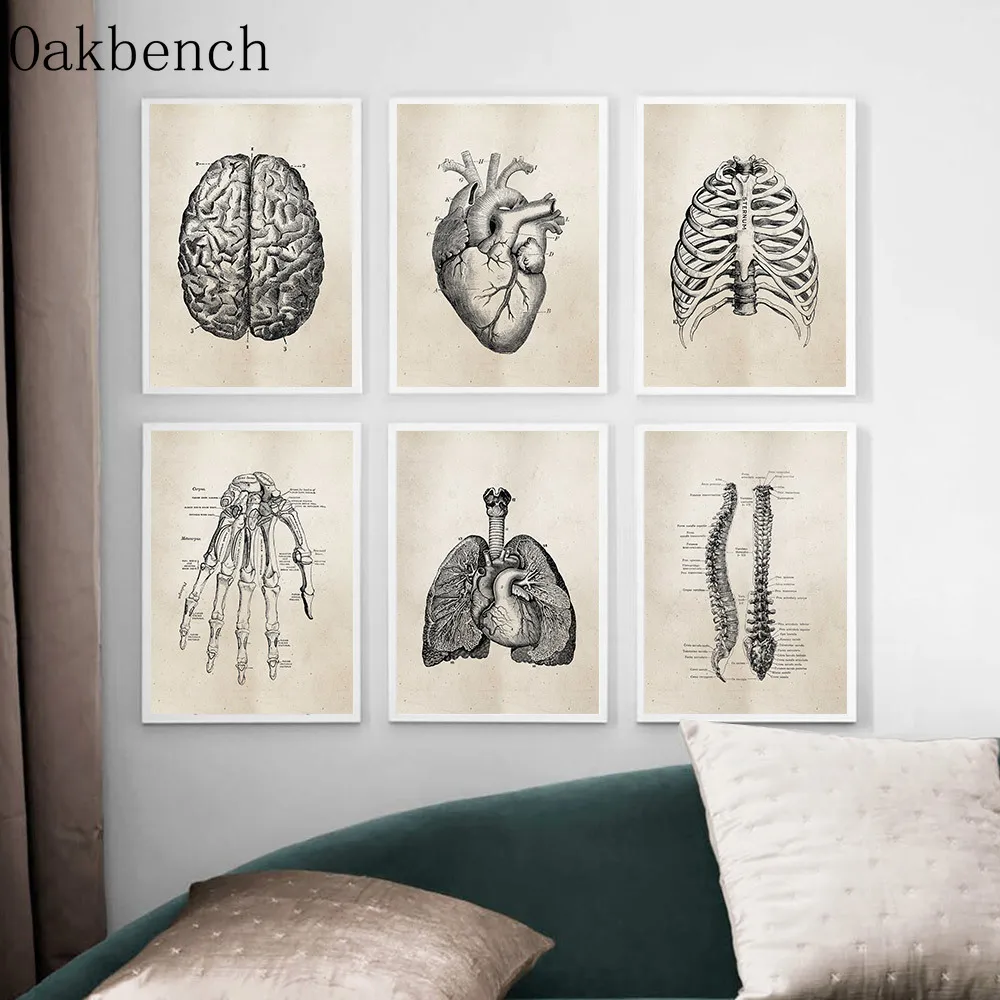 Ретро постер в области анатомии человека скелет сердце патент винтажный принт