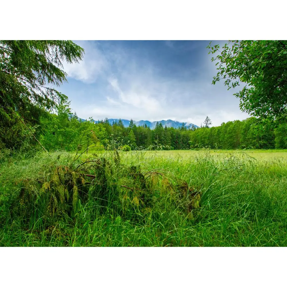 

Vinyl Custom Photography Backdrops Field scenery Theme Photography Background TI20721-01