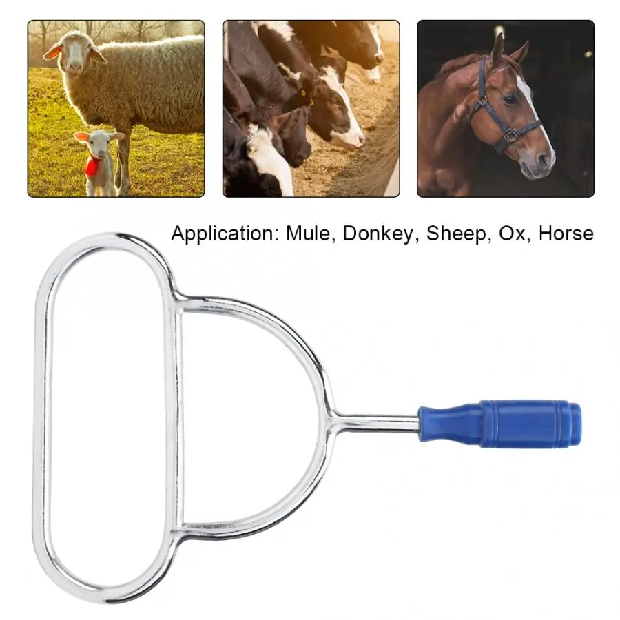 Инструмент для кормления домашней птицы ветеринарный расширитель орошения