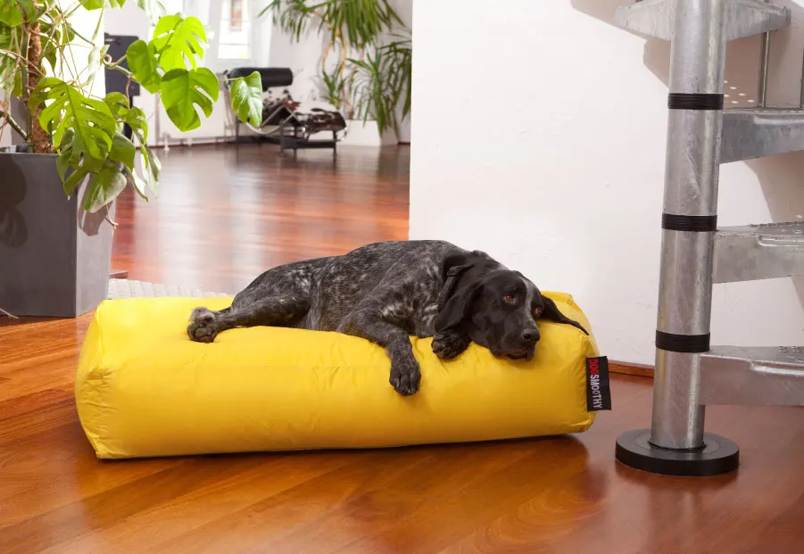 Красочные кровати для собак горячая Распродажа Лежанка домашних животных