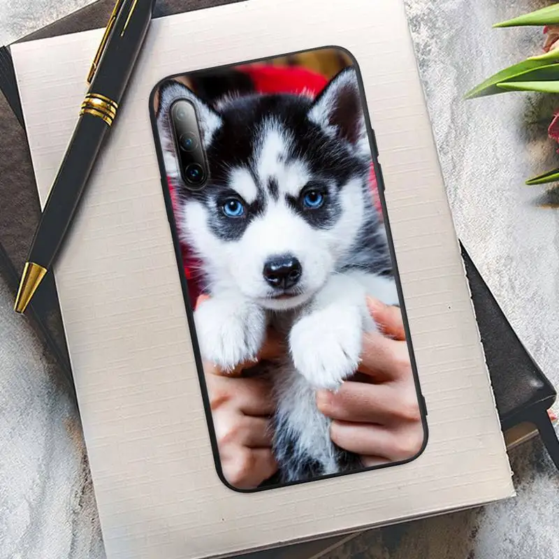

Animal Husky Cute Puppy Dog Black Silicone Mobile Phone Case Cover For Xiaomi Mi 6 A2 8 10 Lite 9 Se 9t Pro A1 Note 10 Lite