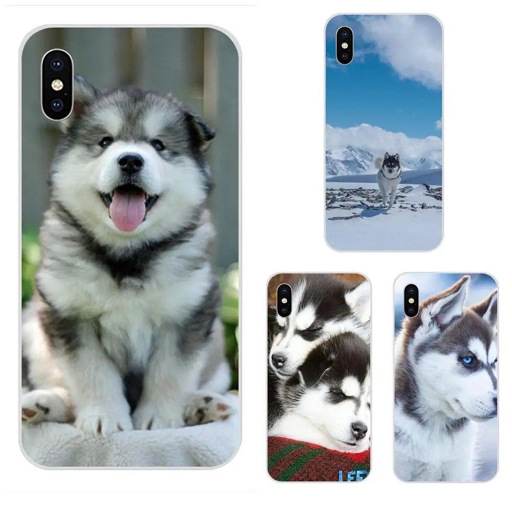 Чехол для телефона с животным Хаски Huawei P7 P8 P9 P10 P20 P30 Lite Mini Plus Pro Y9 Prime P Smart Z 2018 2019