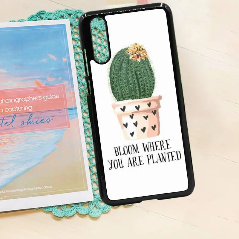 

Lovely cactus Cartoon kawaii plant Phone Case PC for iPhone 11 12 pro XS MAX 8 7 6 6S Plus X 5S SE 2020 XR