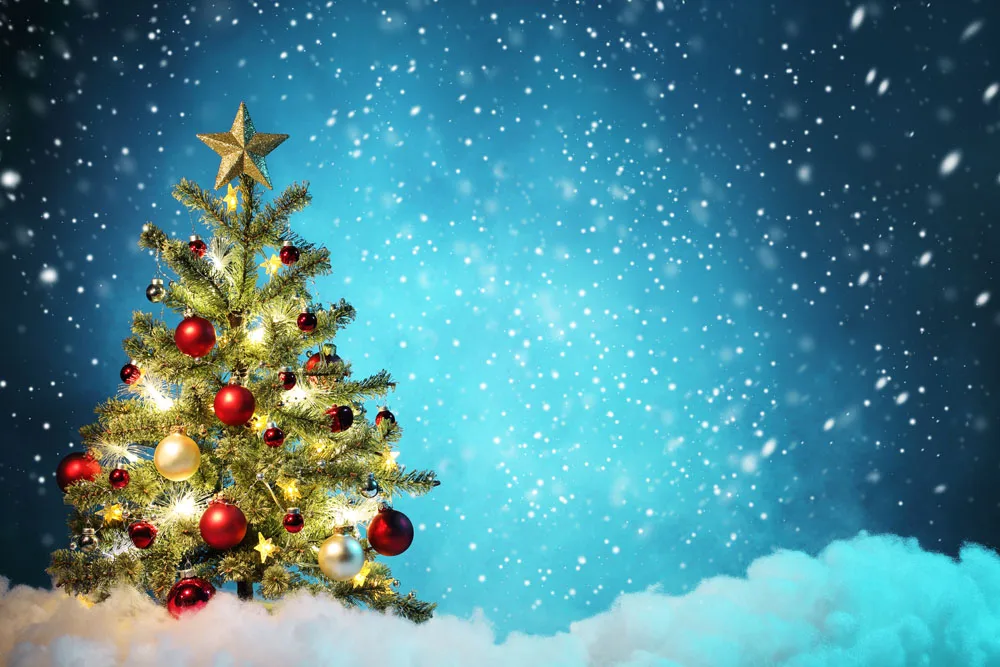 

Vinyl Custom Photography Prop Christmas day theme Photo Studio Background AS18102-302