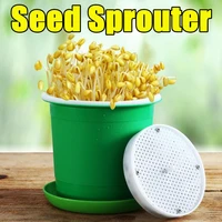 germinating pot for home grown bean sprout pot bean sprout dish