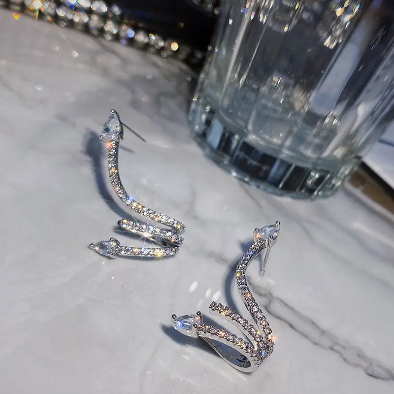 

925 Silver Needle Niche Design Sense Snake-Shaped Micro-inlaid Zircon Earrings
