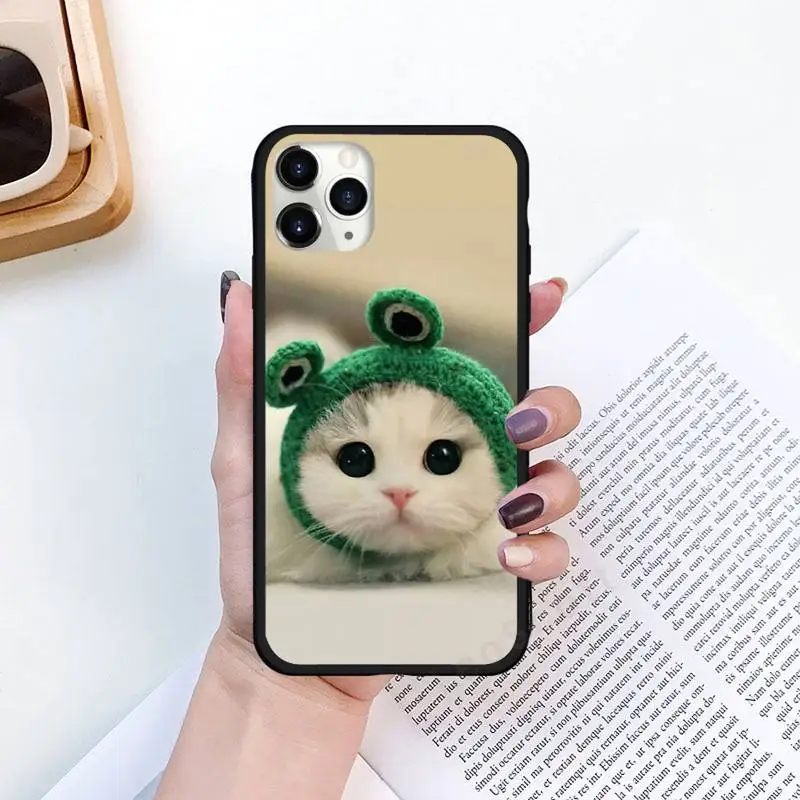

cat animal cute love pet lovely Phone Cases for iPhone 6 7 11 12 Pro X XS Max XR Samsung Galaxy S A 8 9 10 20 50 Plus cover