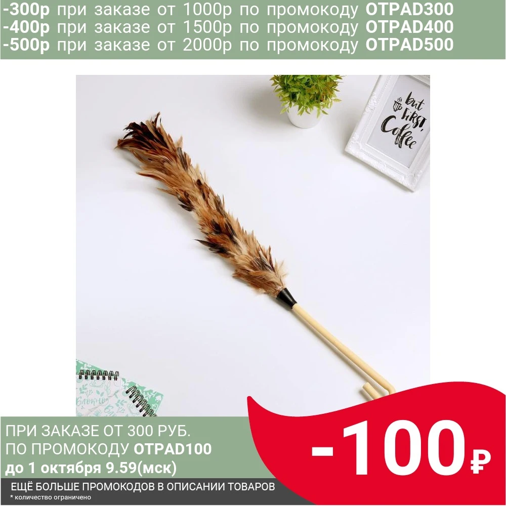 Щётка для удаления пыли Перья 60 см | Дом и сад