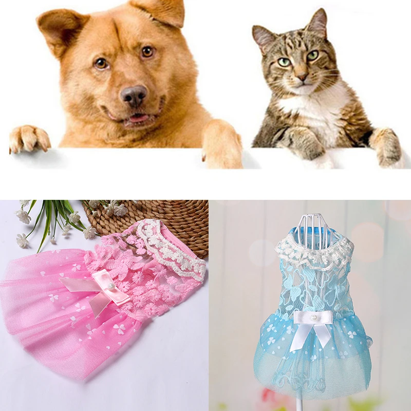 

Summer Pet Dress Dog Clothes Accessory Lovely Lace Bow Skirt Sexy Lace Dresses Skirt For Pets Party Pink Blue Puppy Dog Dress