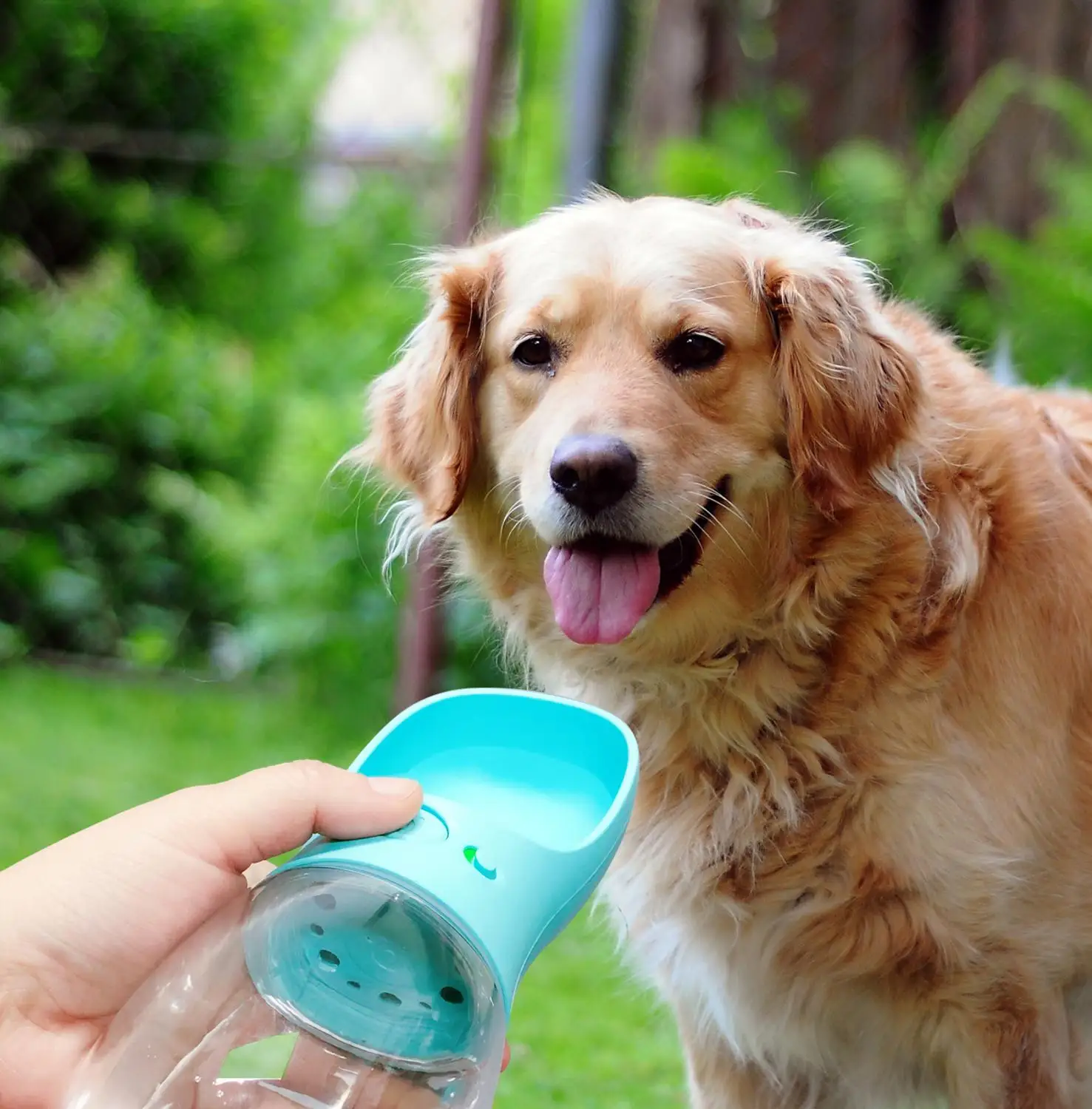 Portable Pet Dog Water Bottle For Small Large Dogs Travel Puppy Cat Drinking Bowl Outdoor Dispenser Feeder Product | Дом и сад