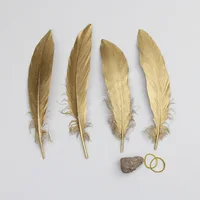 20pcs/lot Gold Goose Feather 15-20CM DIY Luxury Graduation Design Clothing Accessories Hair Feathers Craft Wedding Jewelry