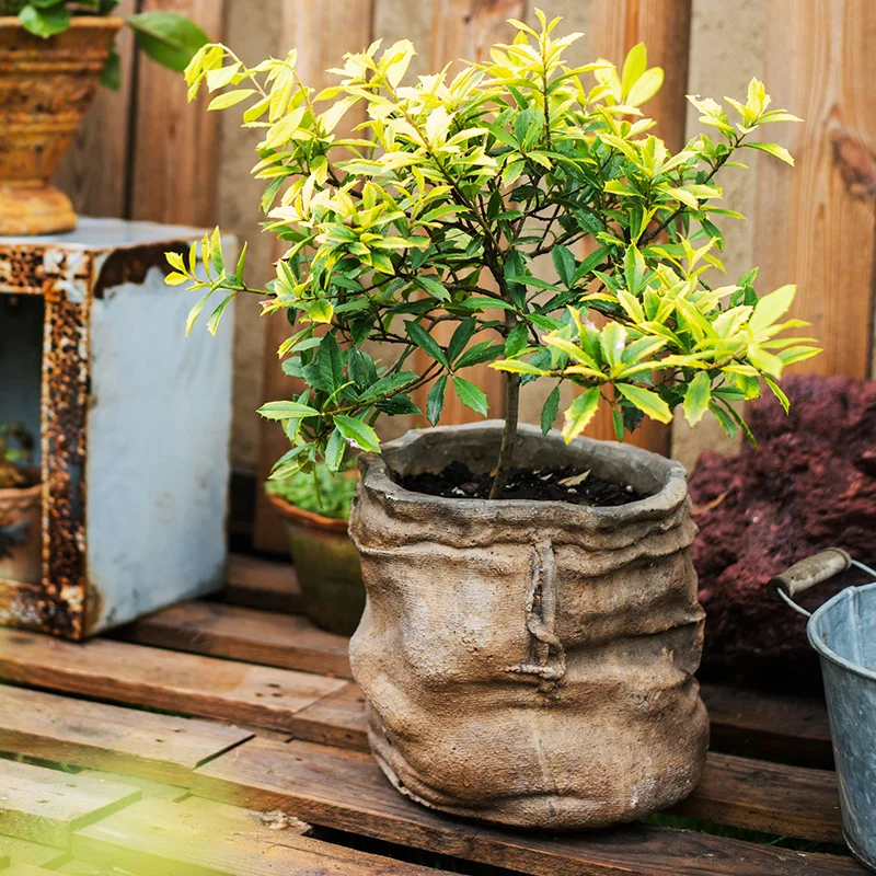 

Cement Linen Pocket Flower Pot Flower Basket Flower Plant Planting Green Plant Creative Gift Garden Decoration