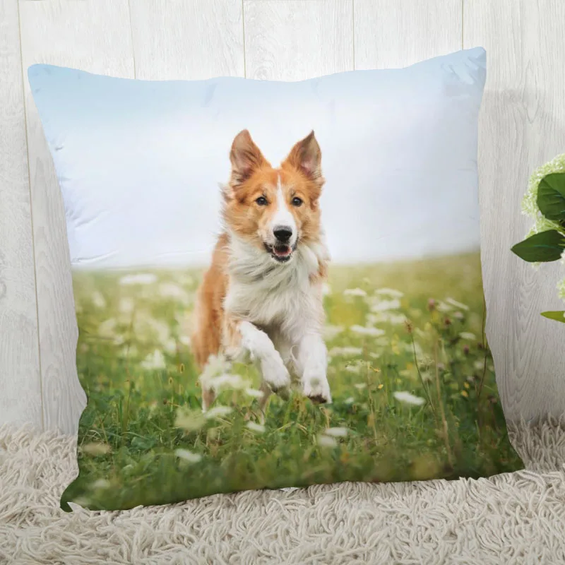 Наволочка для подушки Border Collie современный домашний декоративный чехол 45x45 см 40x40