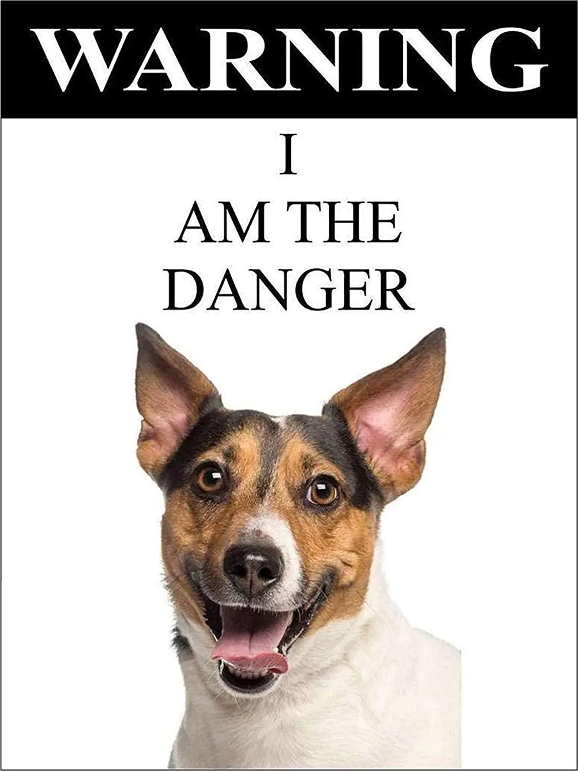 

Warning Dog Art Poster Nostalgic Vintage Old Classic Tin Sign Wall Decoration Novelty Gift 20 * 30Cm
