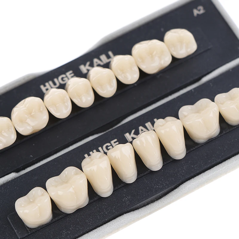

28Pcs/box Dental Synthetic Polymer Teeth Full Set Resin Denture Dental Teeth