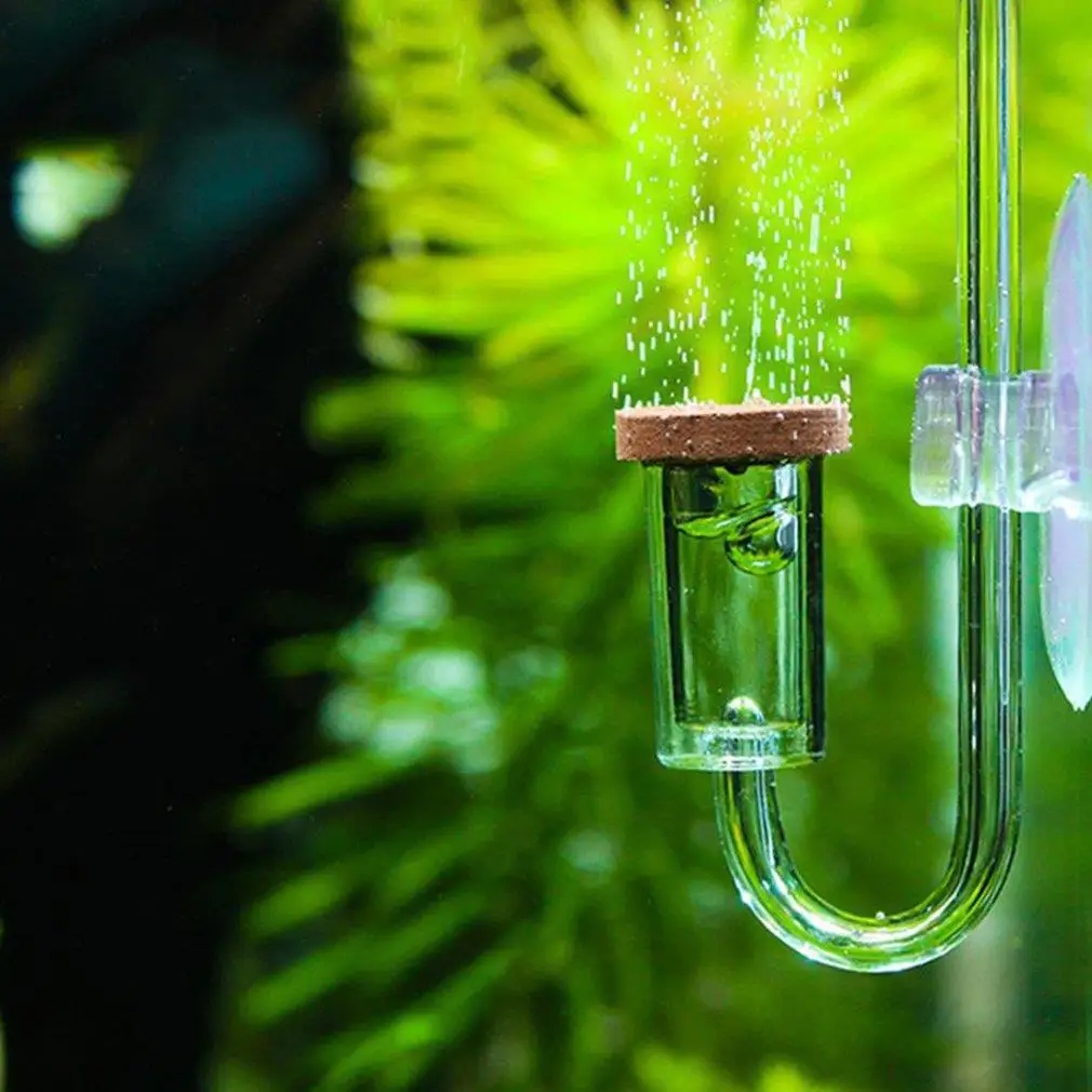

Акриловый прозрачный Диффузор CO2 для аквариума, живой мох, распылитель для растений, счетчик пузырей для аквариумов, растений, водный газон, ...