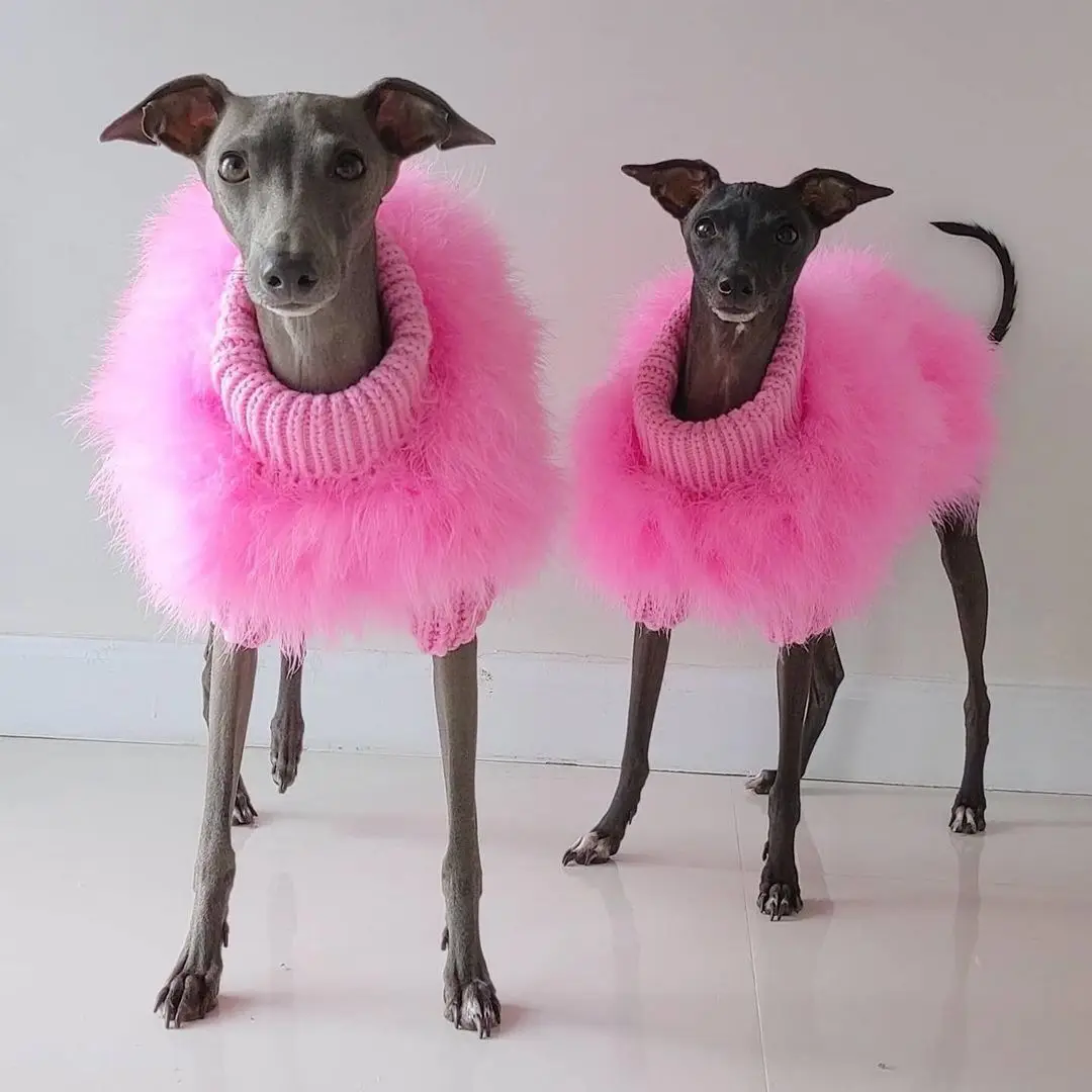 Красочная Одежда для щенков дизайнерская одежда собак роскошный свитер