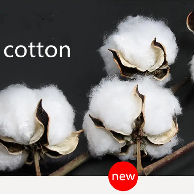 

4pcs/lot Male Panties Cotton Men's Underwear Boxers Breathable Man Boxer Solid Underpants Comfortable Brand Shorts Jdren