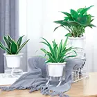 Горшки для растений, Прозрачный цветочный горшок, прозрачный автоматический водопоглощающий самополивающийся гидропонный цветочный горшок