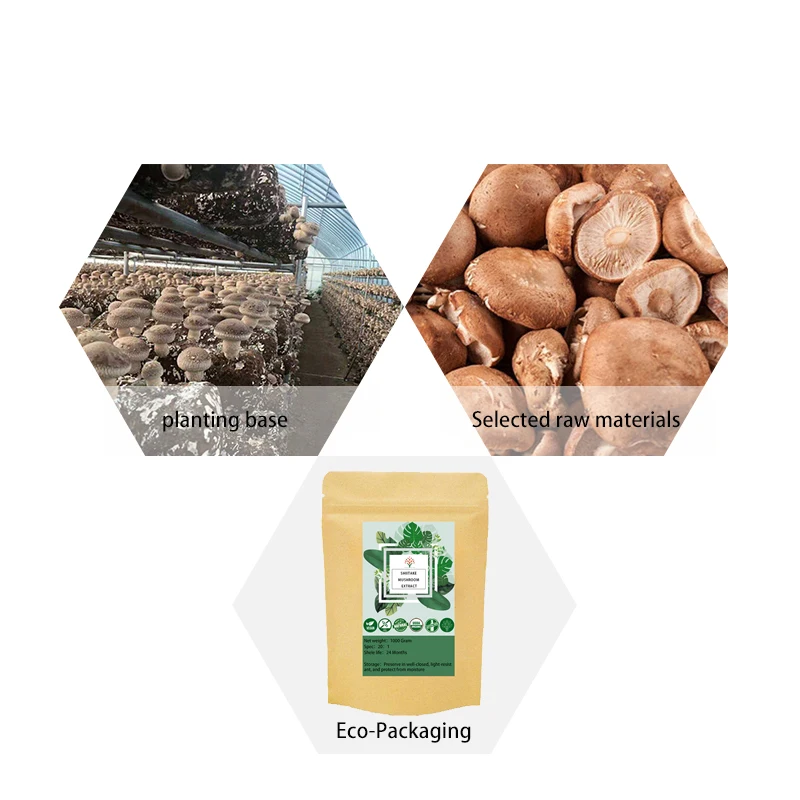 Разрушение раковых клеток экстракт грибов шиитаке порошок лентинана поддержка