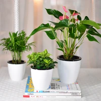 plants pot home decoration for garden indoo succlents flower pot bonsai pot self automatic watering flower planter