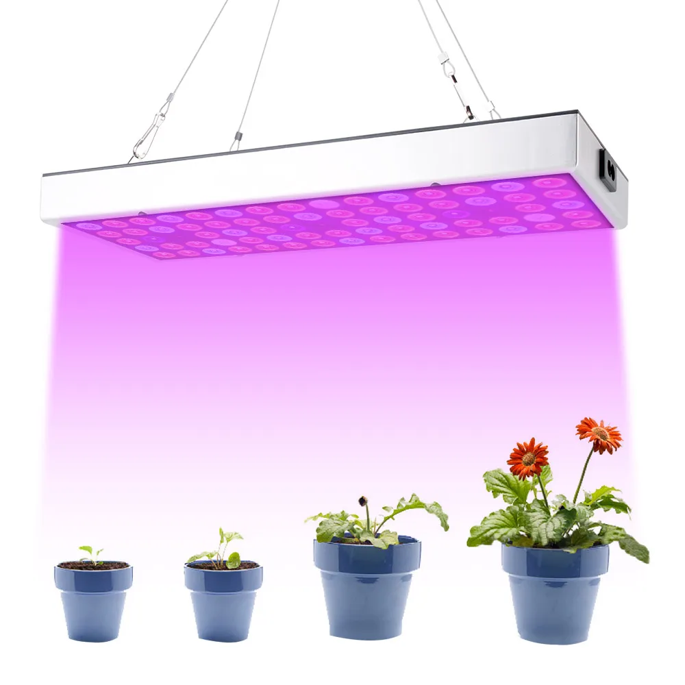 

Growing Lamps 75 LEDs Grow Light 25W AC85-265V Full Spectrum Plant Lighting Fitolampy For Plants Flowers Seedling Cultivation